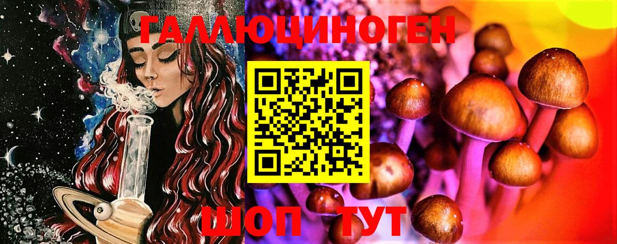 Галлюциногенные грибы Psilocybe  Вход с VPN  Александров 